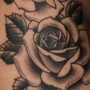 Meet your Posher, Paige